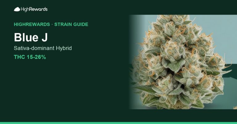 Blue J cannabis strain cover image