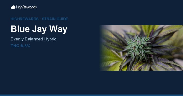 Blue Jay Way cannabis strain cover image