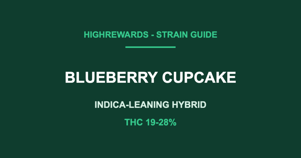 blueberry cupcake strain cover