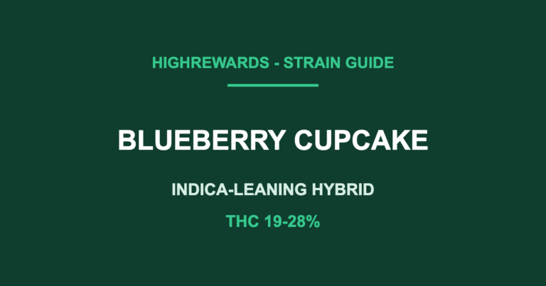 blueberry cupcake strain cover