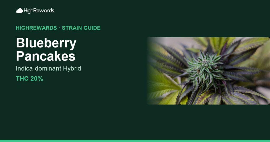 Blueberry Pancakes cannabis strain cover image