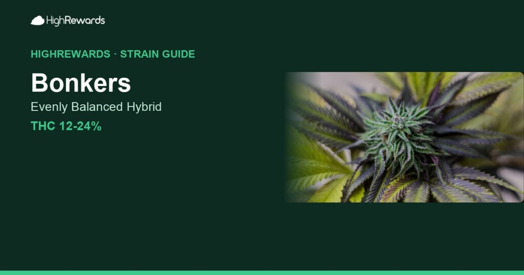 Bonkers cannabis strain cover image