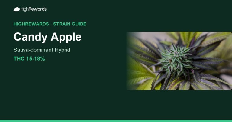 Candy Apple cannabis strain cover image