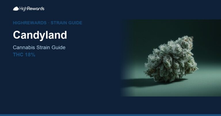 Candyland cannabis strain cover image