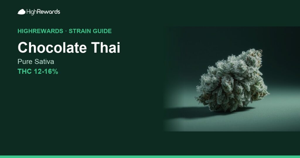 Chocolate Thai cannabis strain cover image