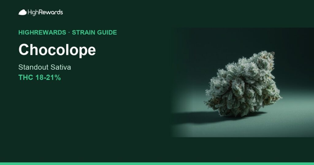 Chocolope cannabis strain cover image
