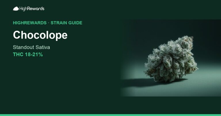 Chocolope cannabis strain cover image