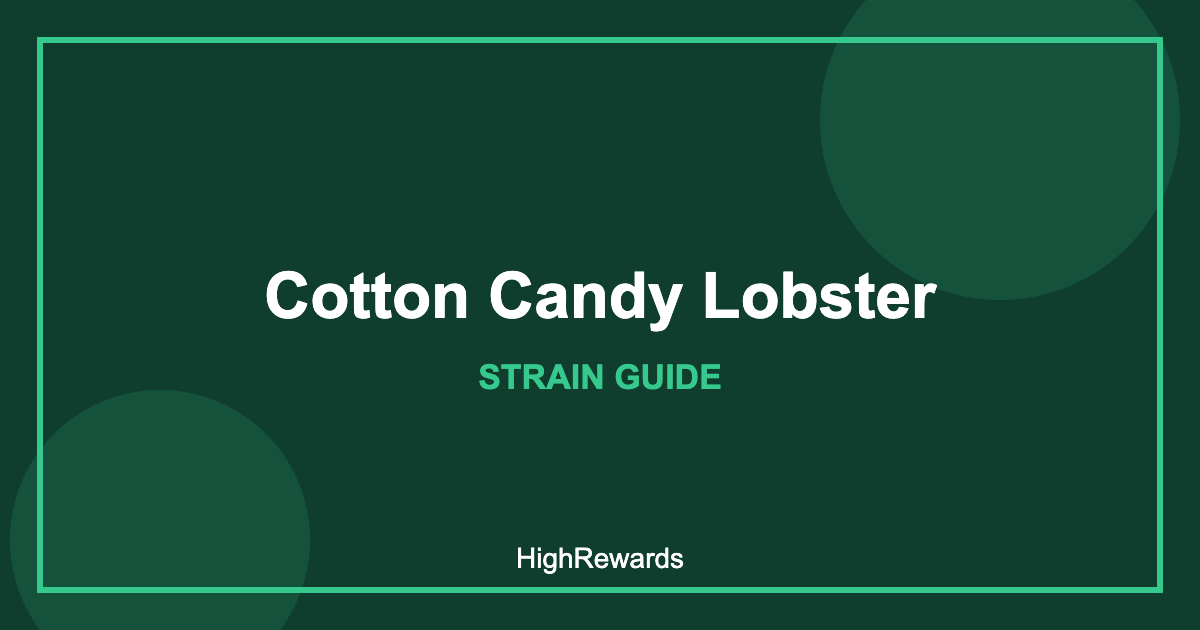 Cotton Candy Lobster strain cover