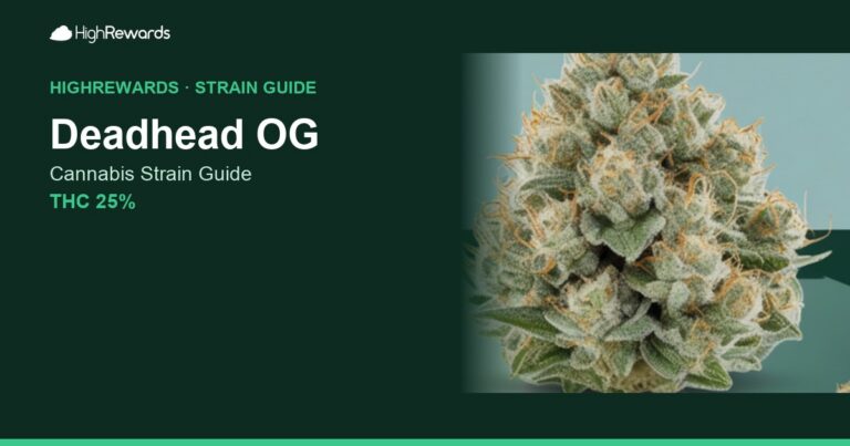 Deadhead OG cannabis strain cover image