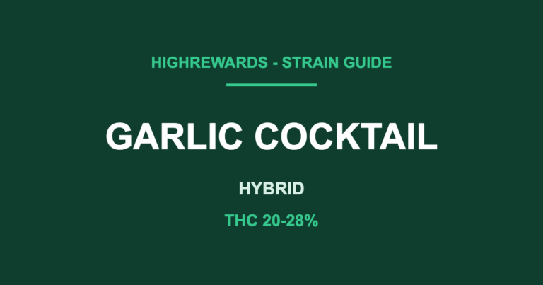 garlic cocktail strain cover