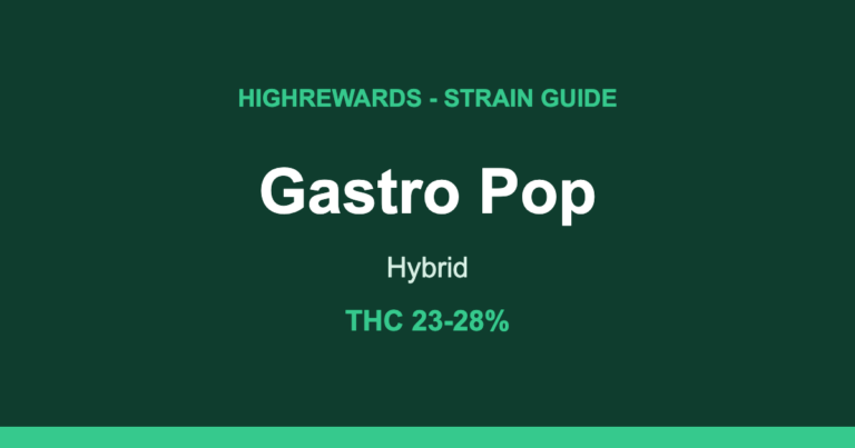 gastro pop strain cover