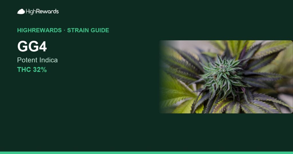 GG4 cannabis strain cover image