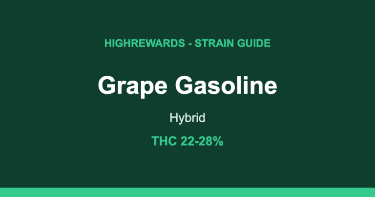 grape gasoline strain cover