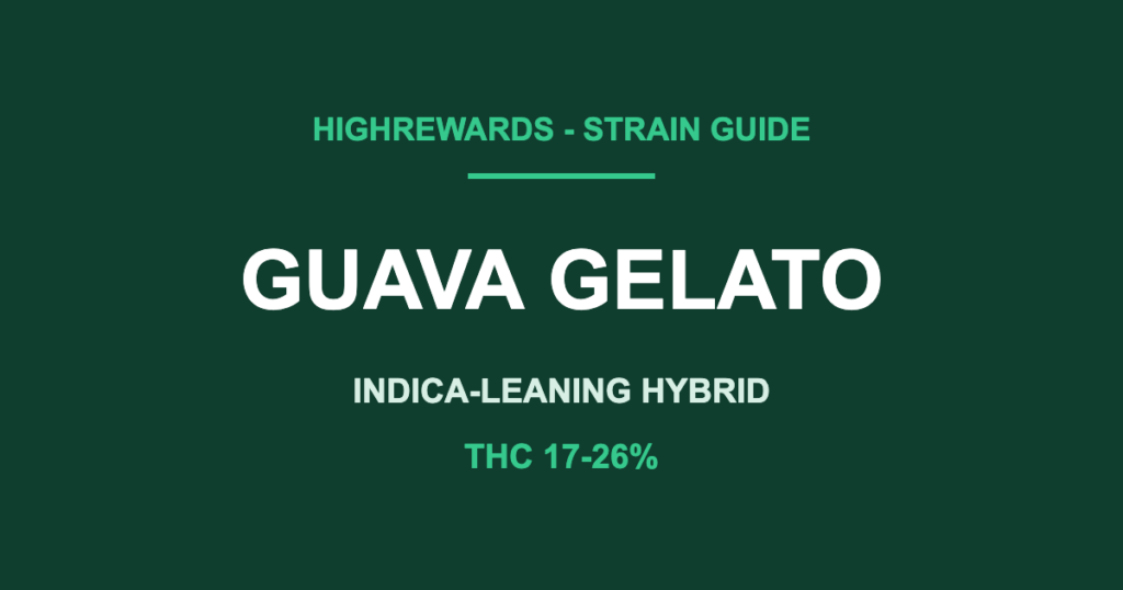 guava gelato strain cover