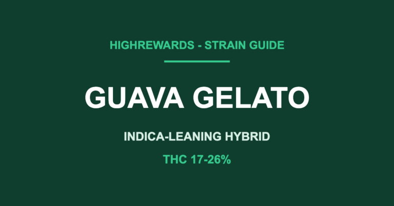 guava gelato strain cover