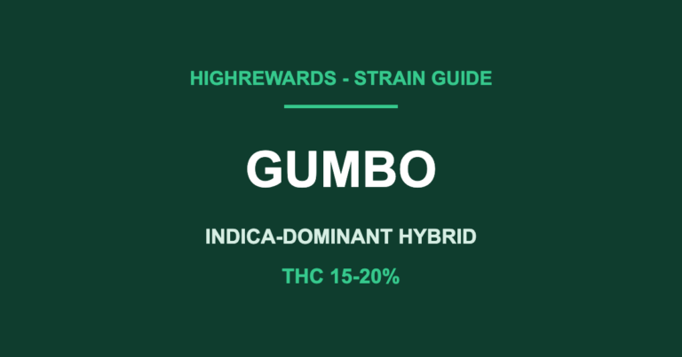 gumbo strain cover