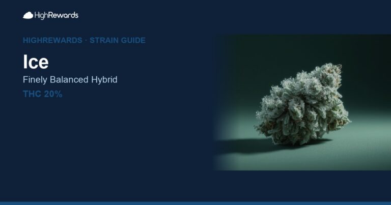 Ice cannabis strain cover image