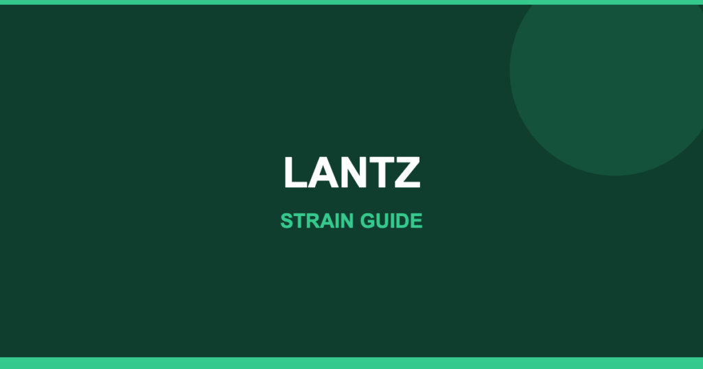 LANTZ strain cover