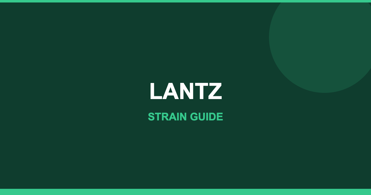 LANTZ strain cover