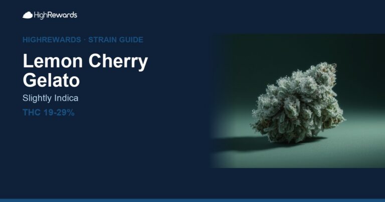 Lemon Cherry Gelato cannabis strain cover image