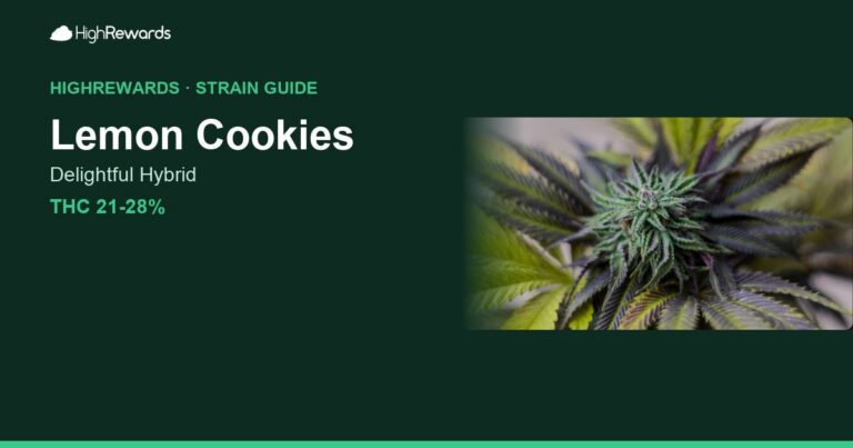 Lemon Cookies cannabis strain cover image