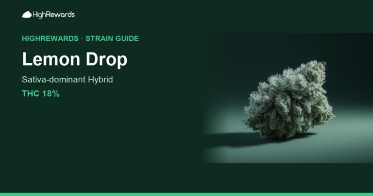 Lemon Drop cannabis strain cover image