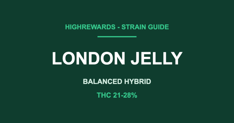 london jelly strain cover