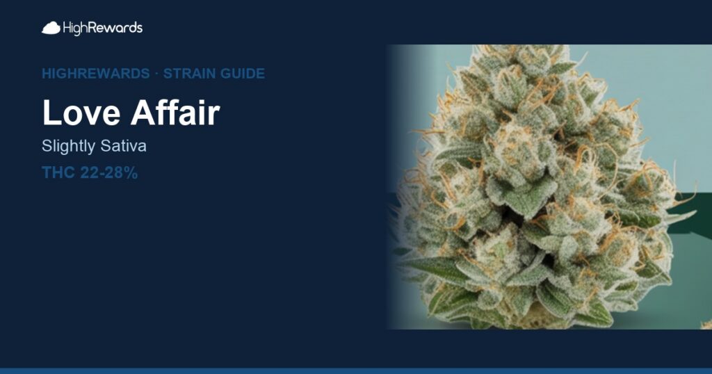 Love Affair cannabis strain cover image