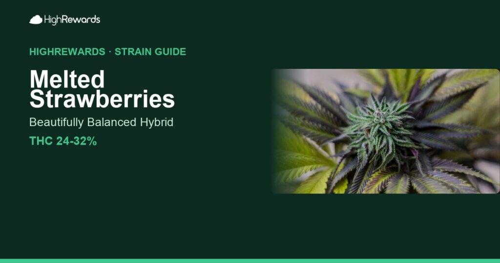 Melted Strawberries cannabis strain cover image