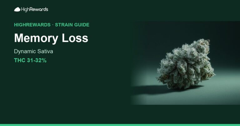 Memory Loss cannabis strain cover image