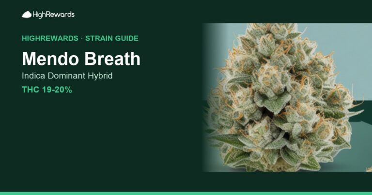 Mendo Breath cannabis strain cover image