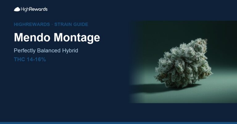 Mendo Montage cannabis strain cover image