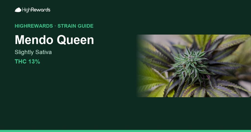 Mendo Queen cannabis strain cover image