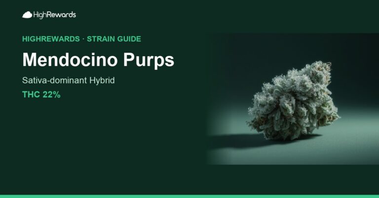 Mendocino Purps cannabis strain cover image
