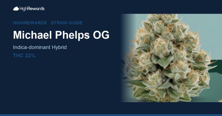 Michael Phelps OG cannabis strain cover image