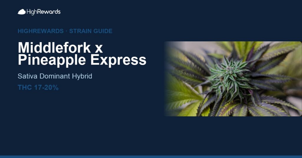 Middlefork x Pineapple Express cannabis strain cover image