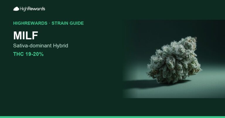MILF cannabis strain cover image