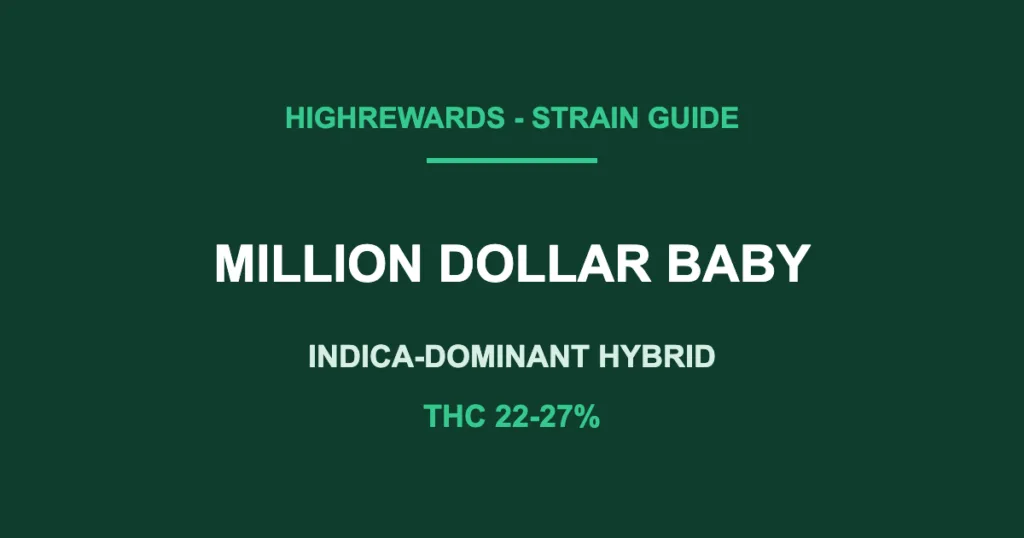 million dollar baby strain cover