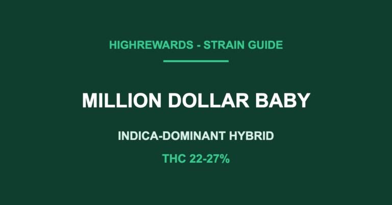million dollar baby strain cover