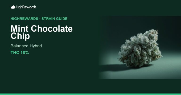 Mint Chocolate Chip cannabis strain cover image