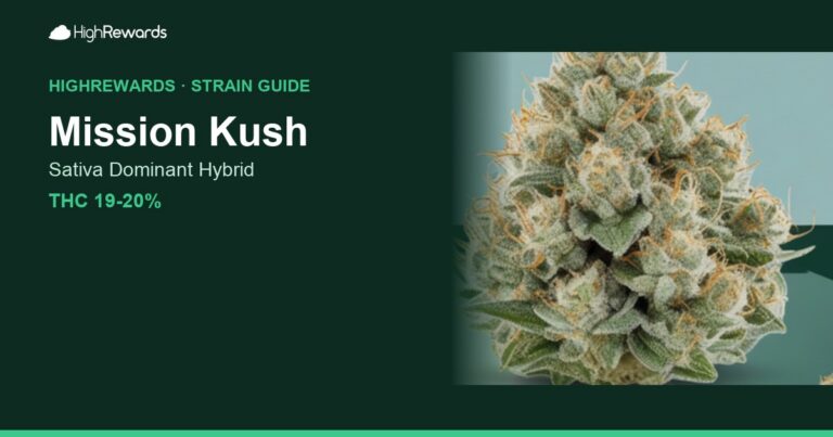 Mission Kush cannabis strain cover image