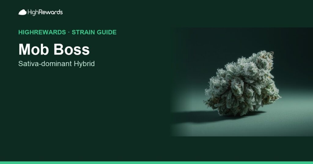 Mob Boss cannabis strain cover image