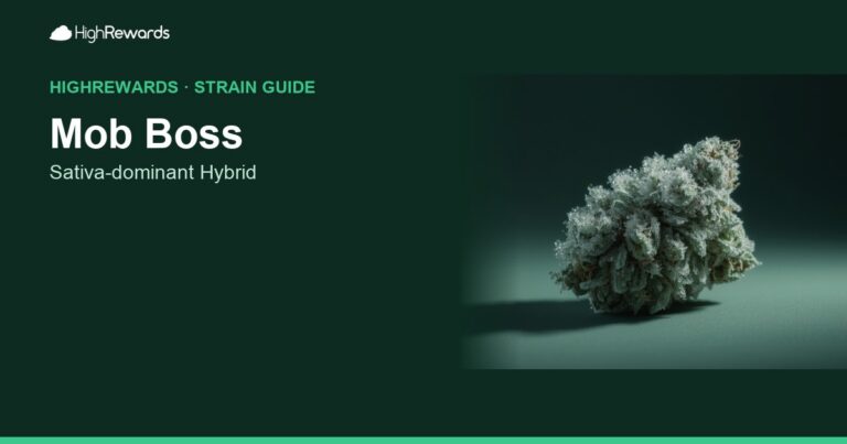 Mob Boss cannabis strain cover image