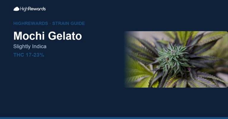 Mochi Gelato cannabis strain cover image