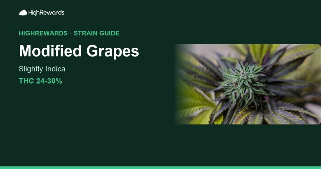 Modified Grapes cannabis strain cover image