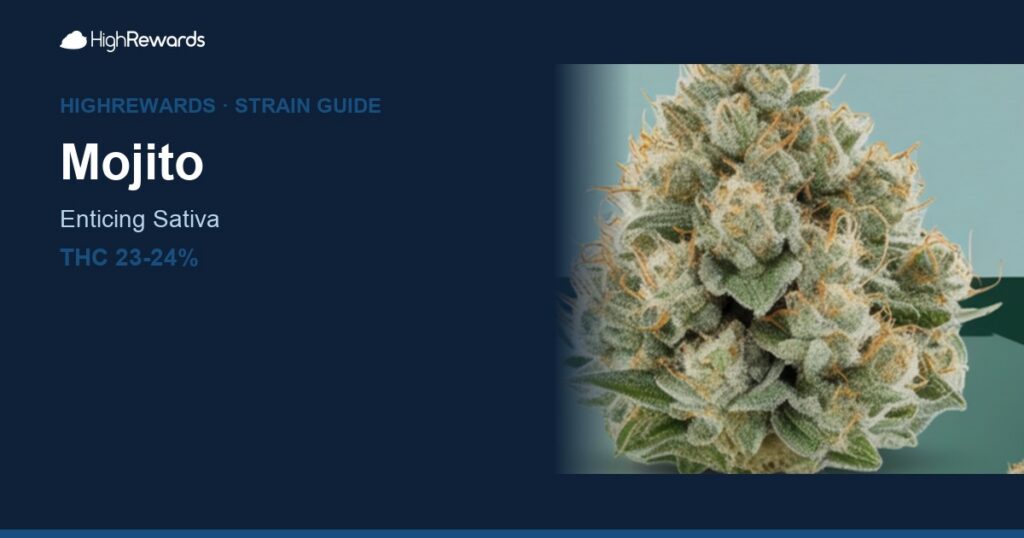 Mojito cannabis strain cover image