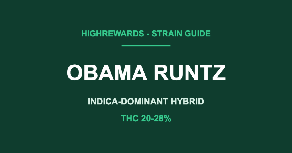 obama runtz strain cover