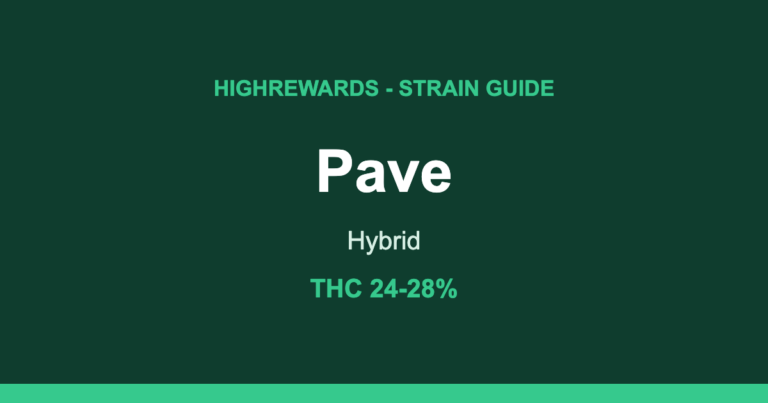 pave strain cover