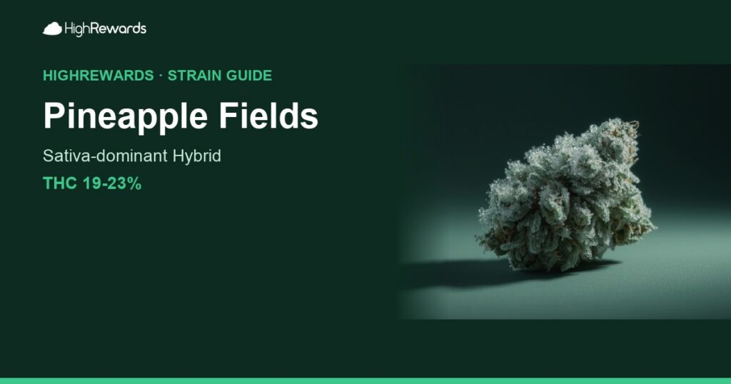Pineapple Fields cannabis strain cover image