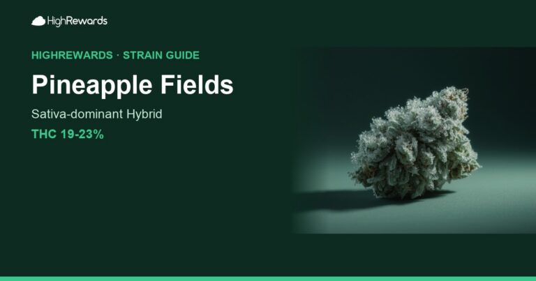 Pineapple Fields cannabis strain cover image